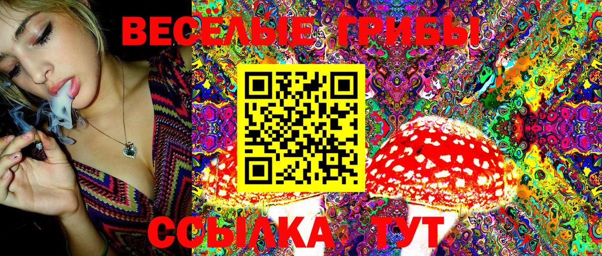 Псилоцибиновые грибы GOLDEN TEACHER  Галлюциногенные грибы GOLDEN TEACHER  Ржев  Вход с VPN 